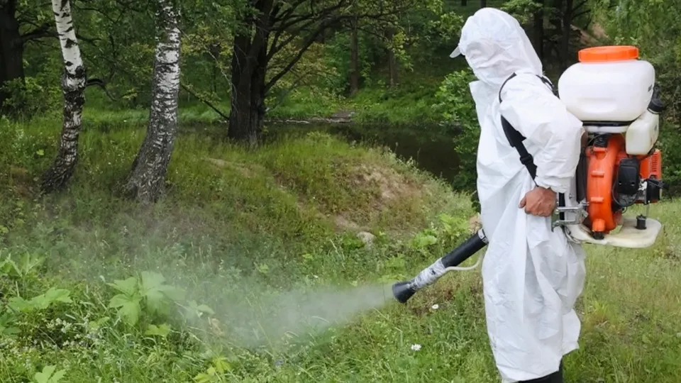 Фото: МедиаБанк Подмосковья/Евгения Корытько