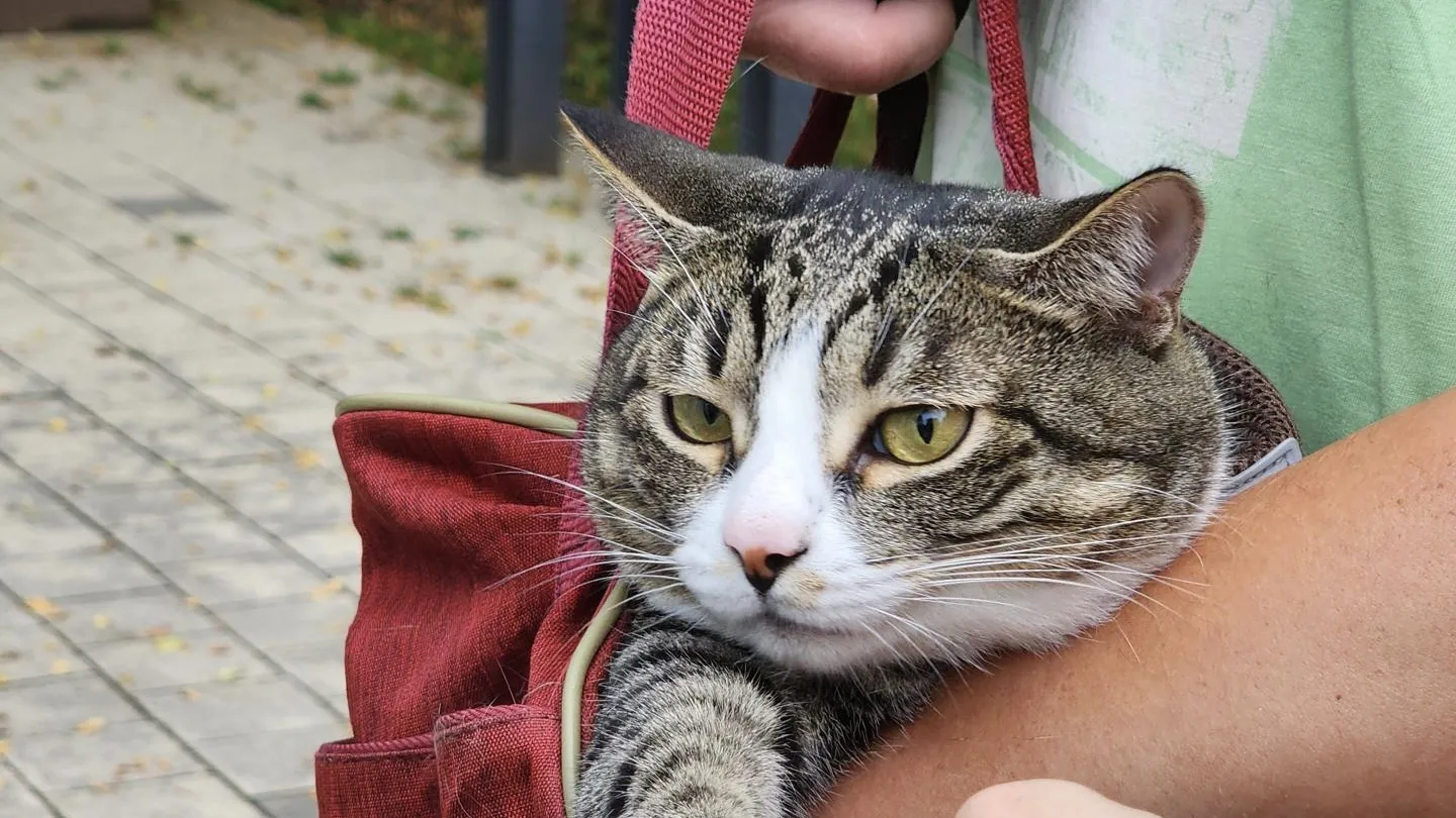 Фото: Валентина Максимова