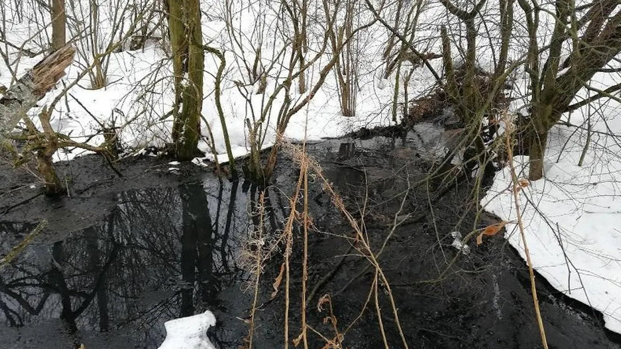 Фото: Пресс-служба министерства экологии и природопользования Московской области