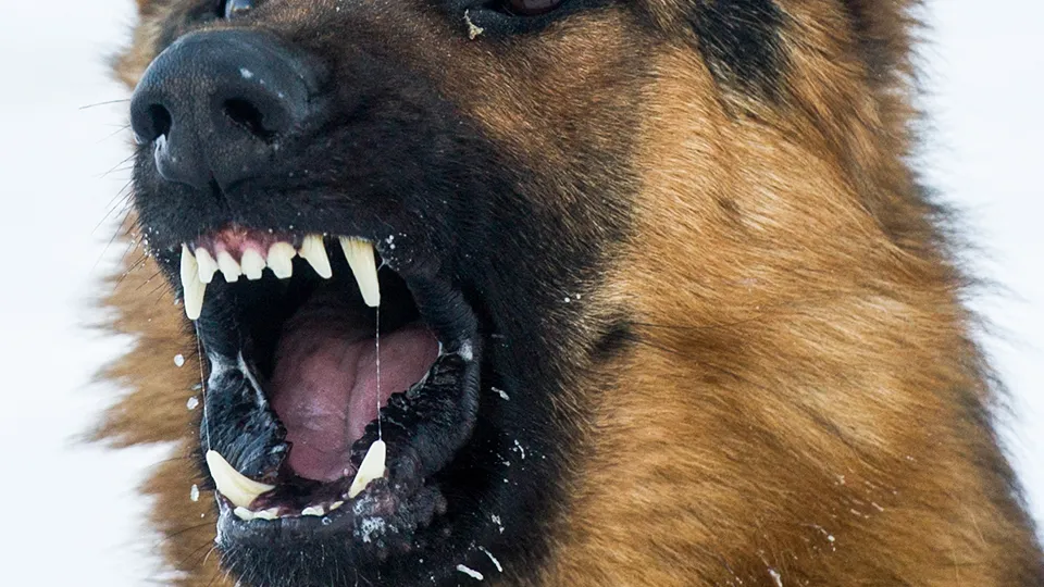 Фото: ТАСС/Кирилл Кухмарь