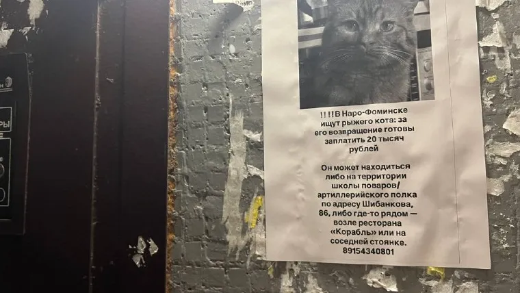 Фото: предоставлено очевидцем