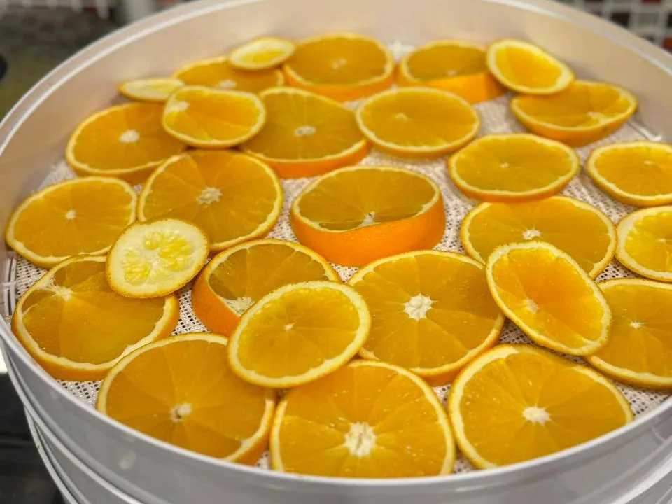 Фото: t.me/Shahovskaypolevaykuhnaydlaysvoih