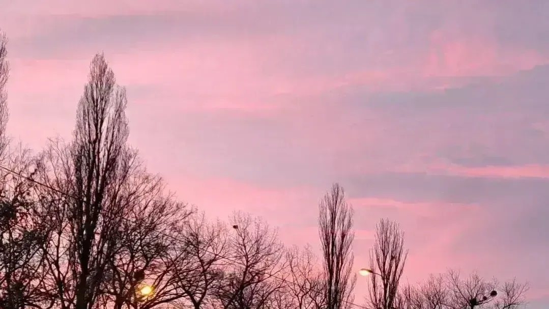 REGIONS/Николай Мулянский