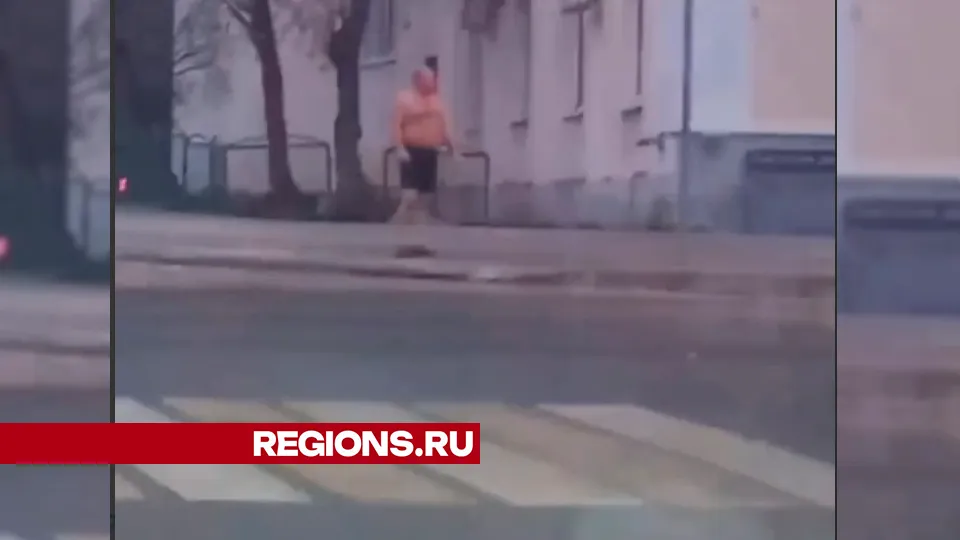 Фото: REGIONS/Василий Тремасов