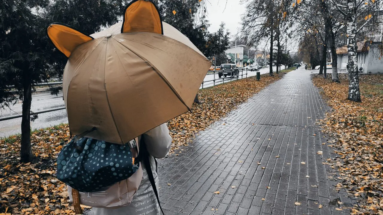 Фото: REGIONS/Елена Забелина