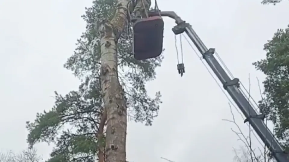 Фото: медиасток.рф