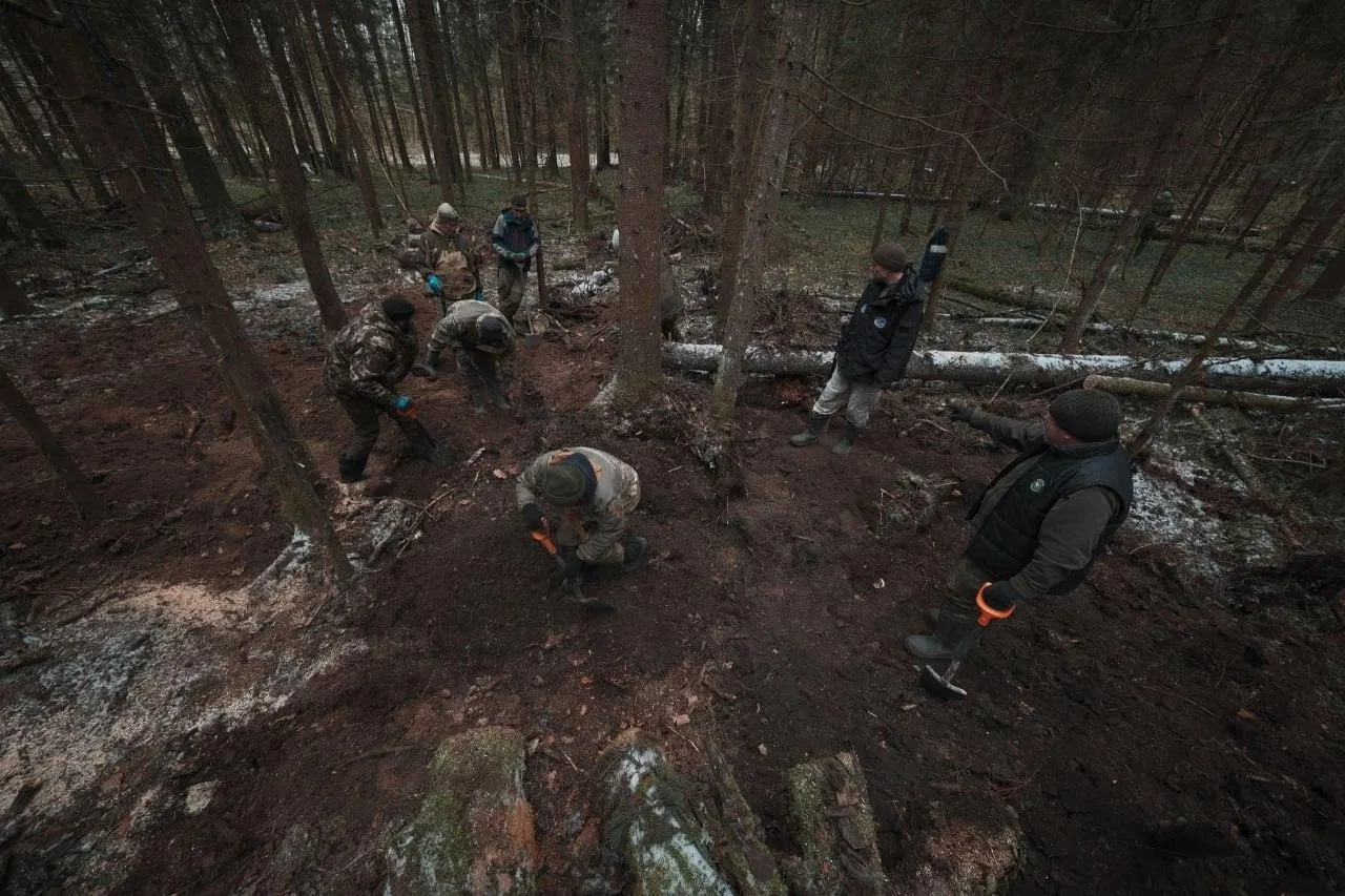 «Поиск50.рф»