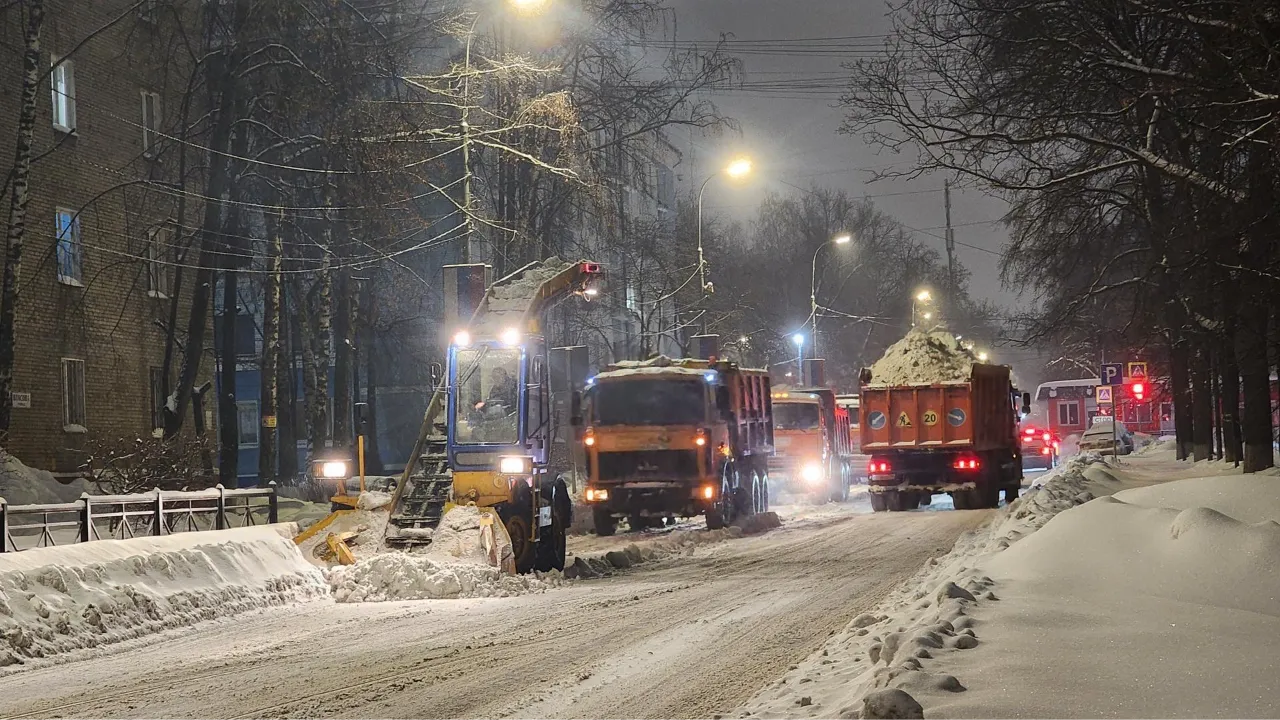 МедиаБанк Подмосковья/Наталья Лымарь