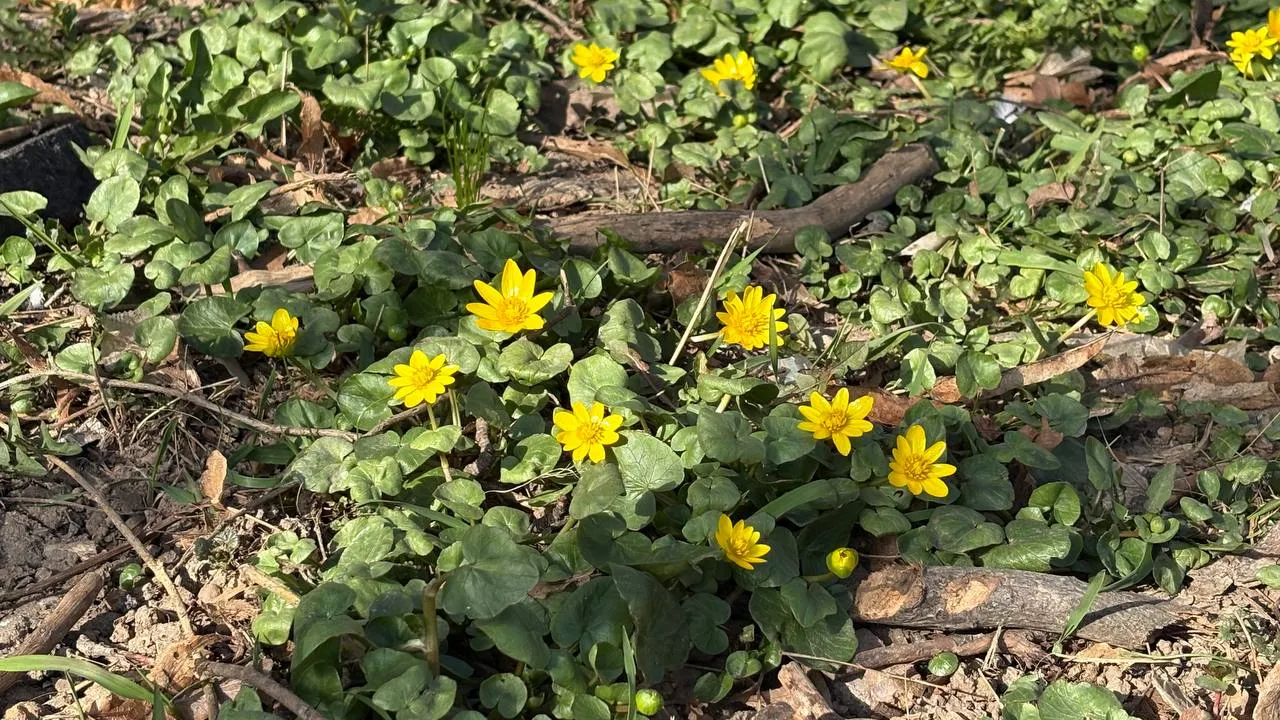 пресс-служба администрации Наро-Фоминского г.о.