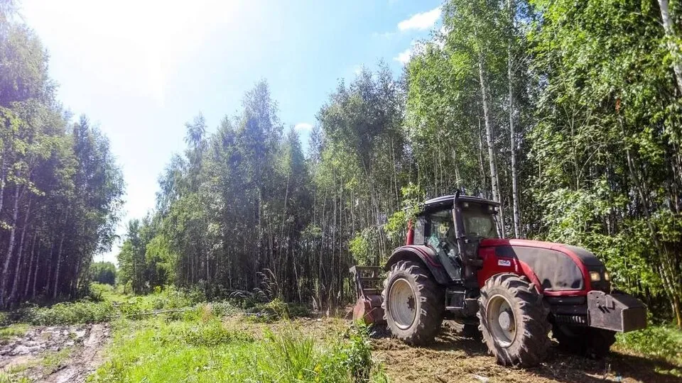Фото: пресс-служба Администрации г.о. Кашира
