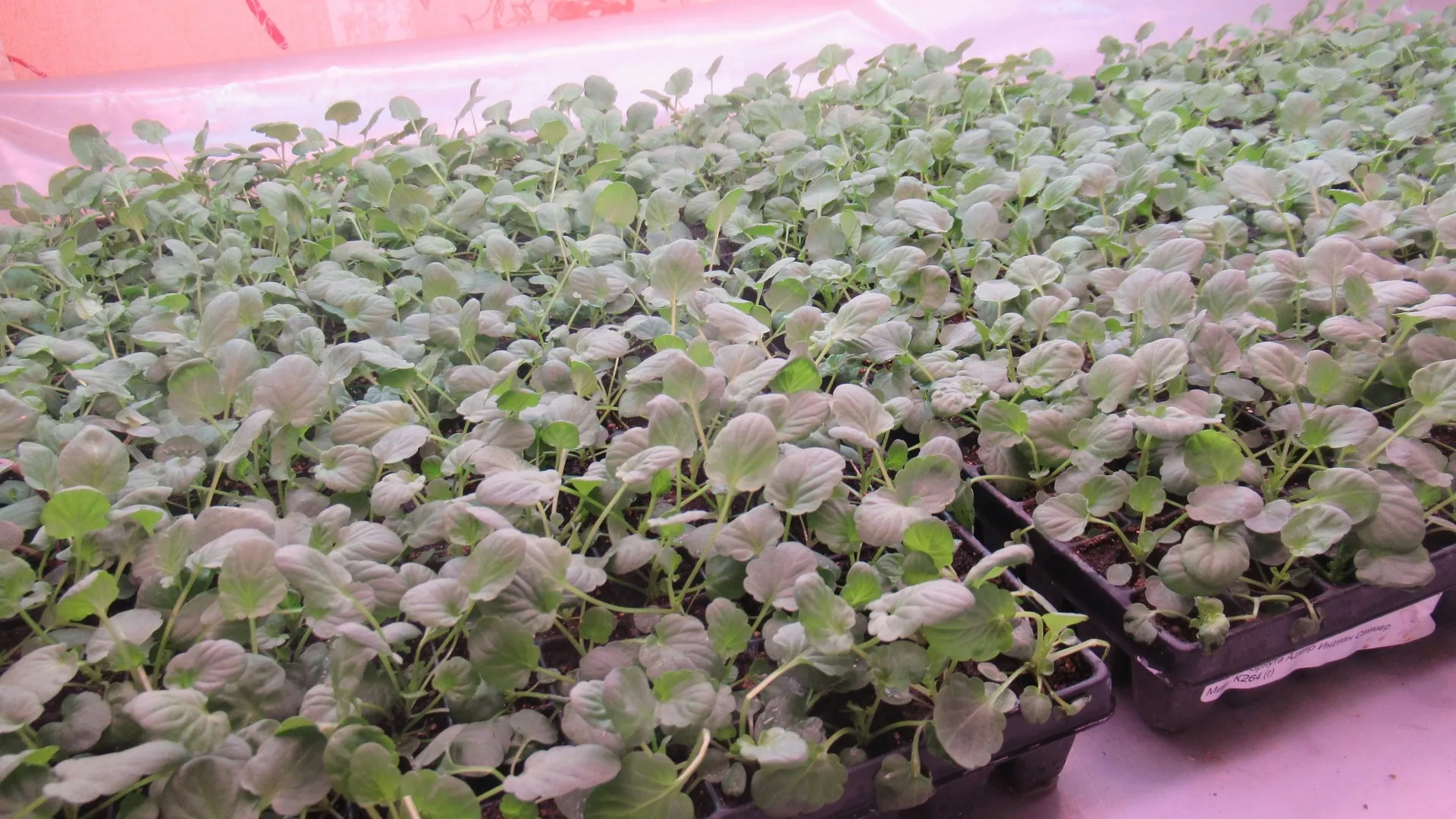 Фото: vk.com/школа №5 г. Магнитогорск