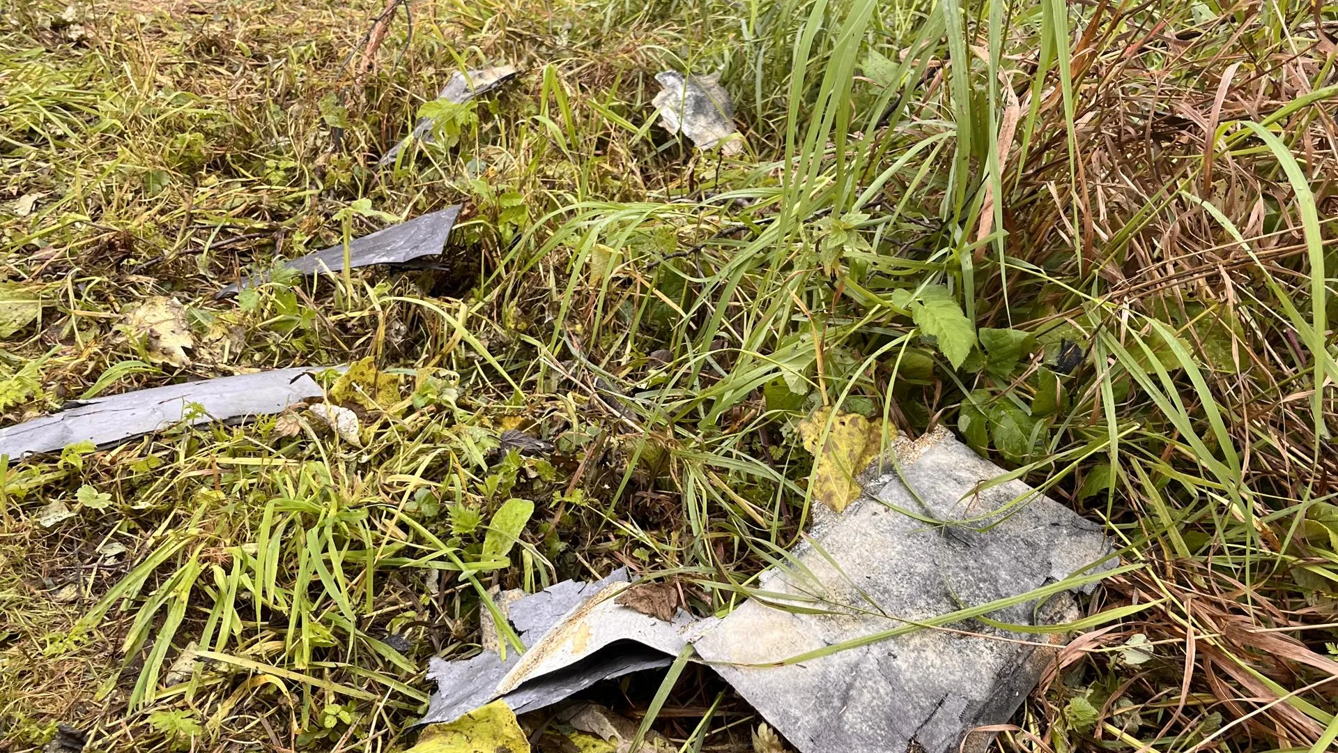 фото: Екатерина Данилина