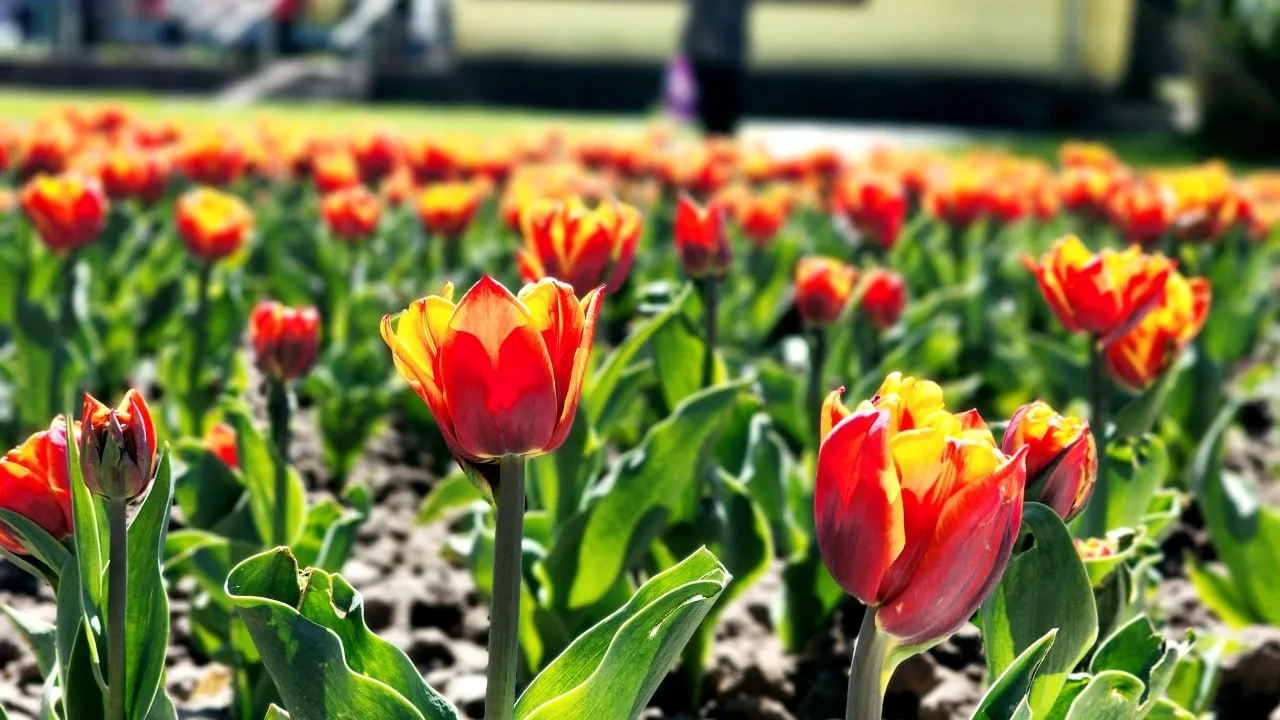 Фото: Мария Панина