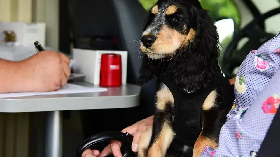 Министерство сельского хозяйства и продовольствия Московской области