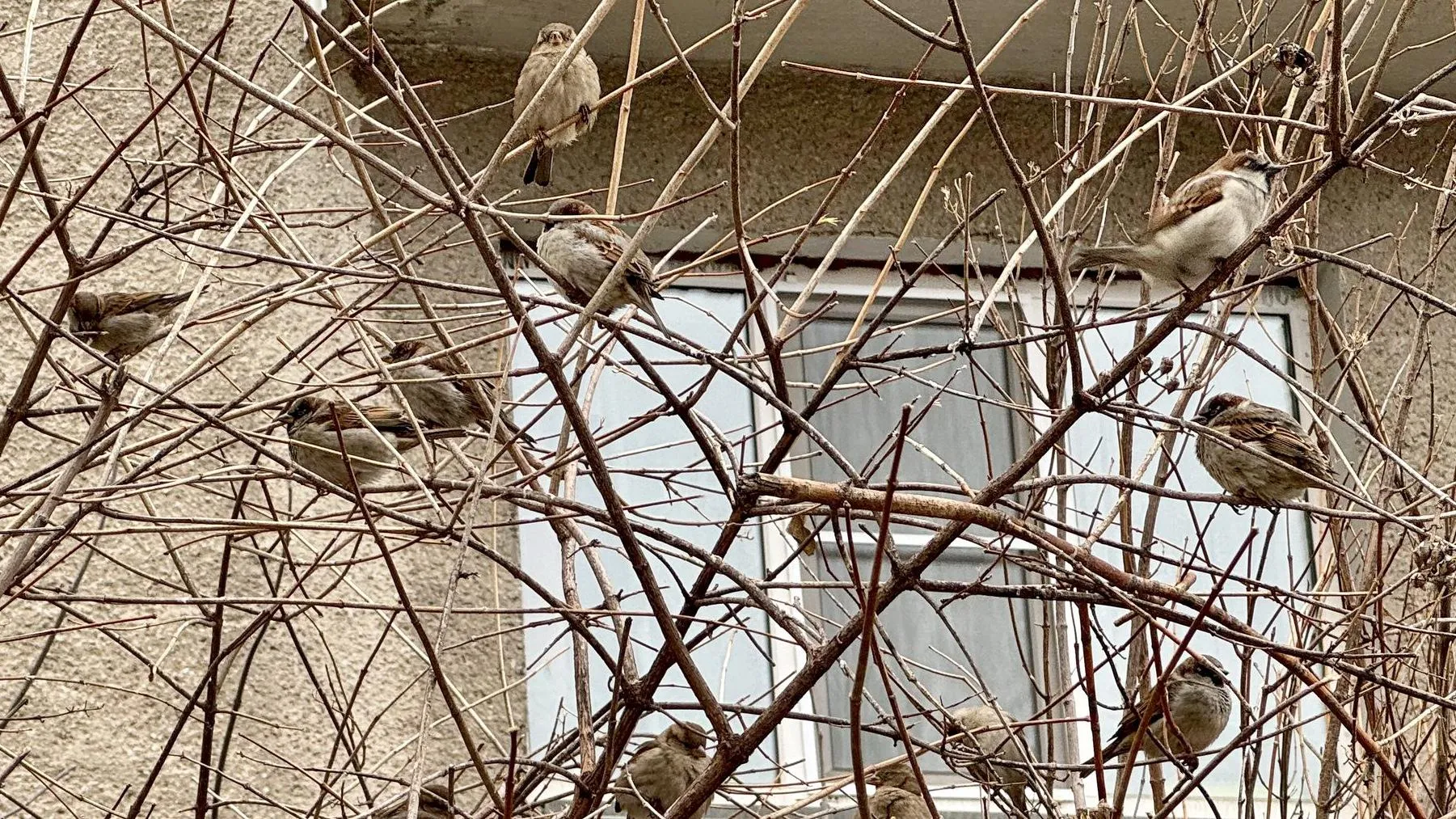 REGIONS/Александр Легкий