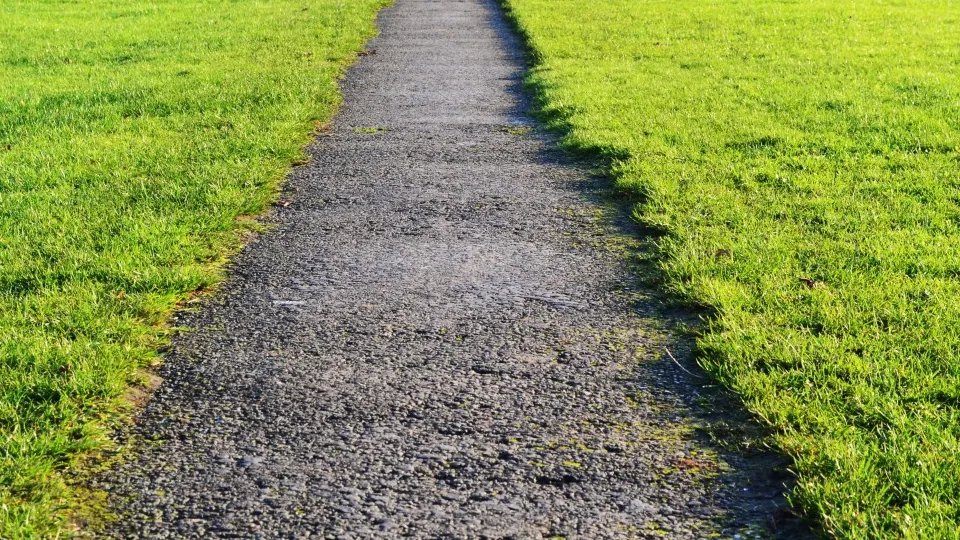 Фото: pxhere.com