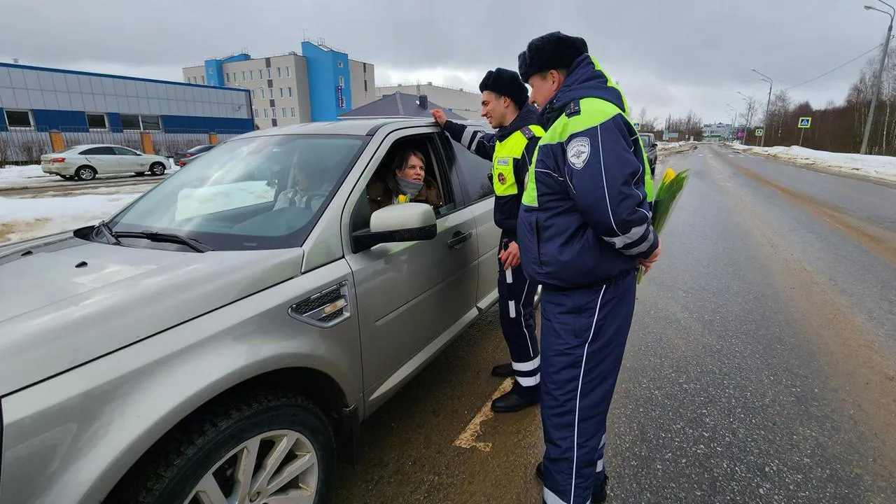 МедиаБанк Подмосковья/Екатерина Данилина