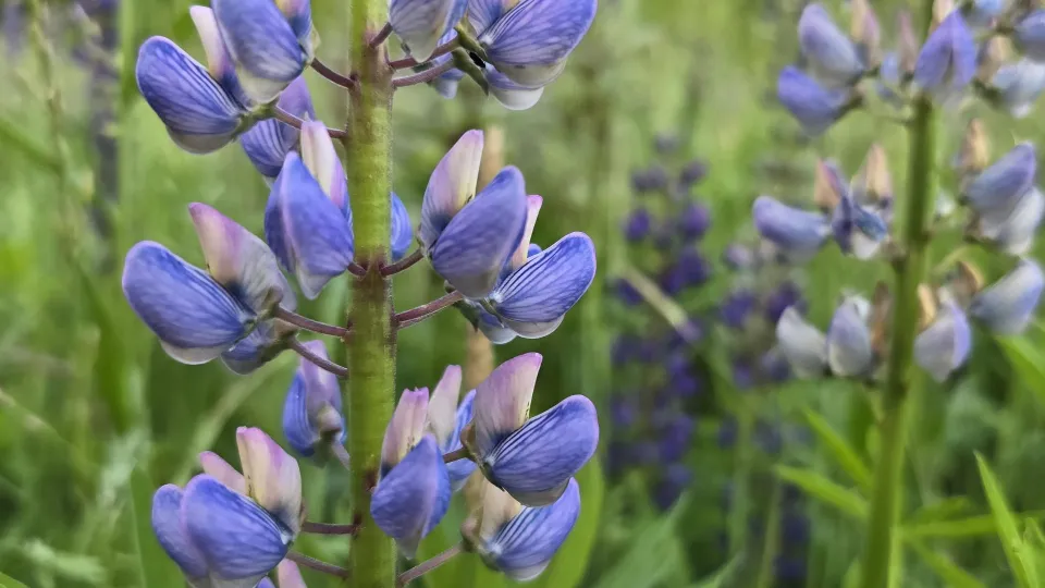 Фото: Марина Анисимова