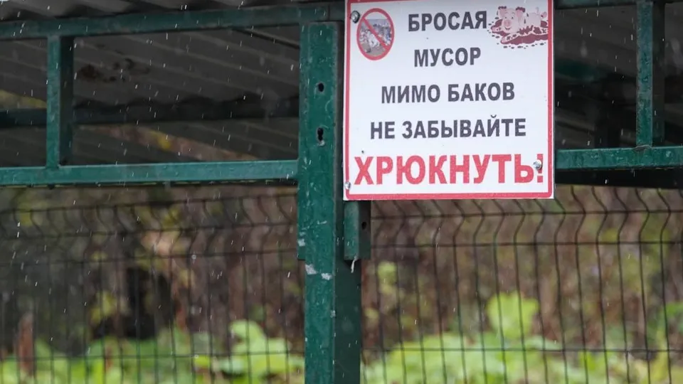 Фото: Дарья Леонова