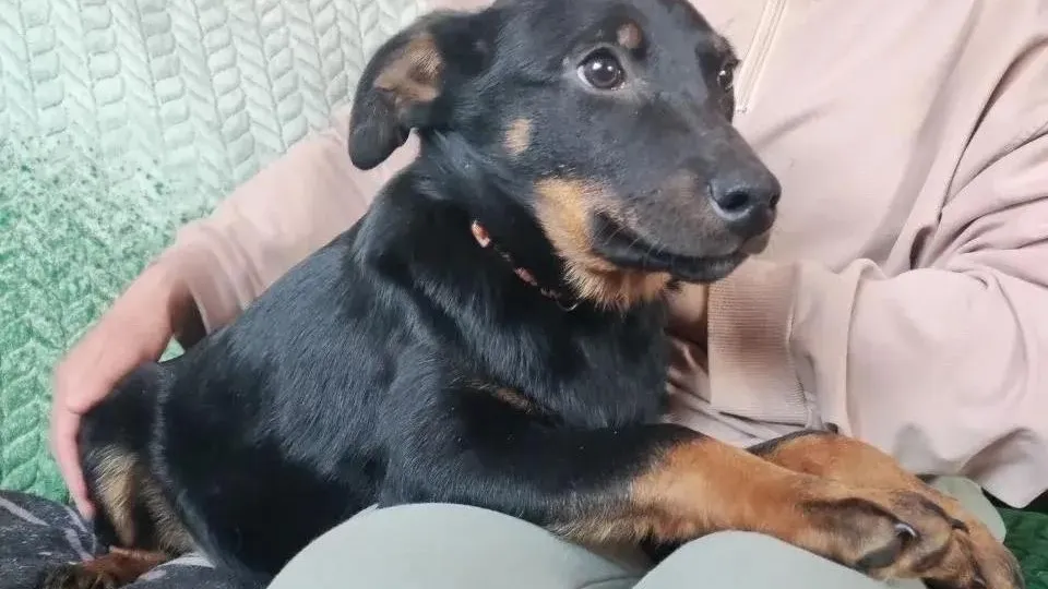 Ольга Соловьева