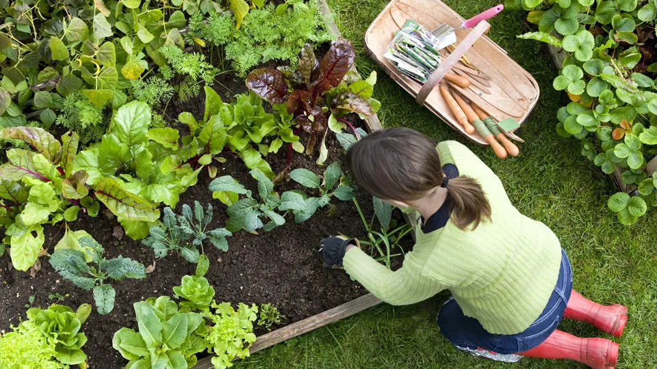 Фото: istockphoto.com