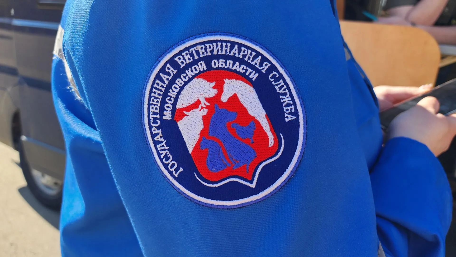 МедиаБанк Подмосковья/Ксения Пашуто