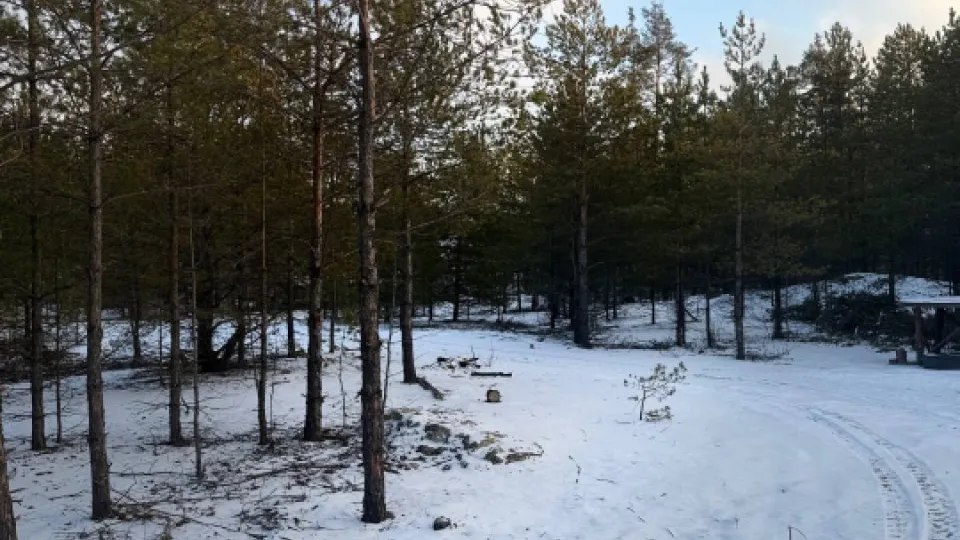 Фото: REGIONS/Дарья Кудинова