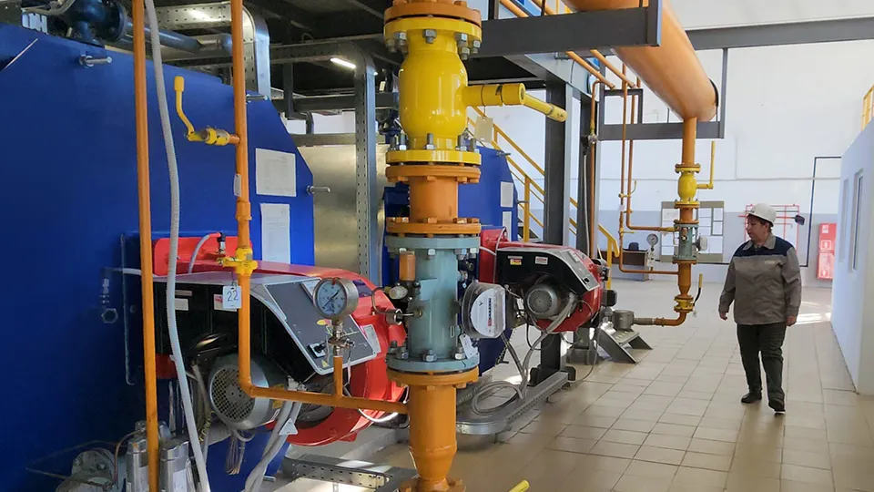 Фото: МедиаБанк Подмосковья/Валерий Гореловский