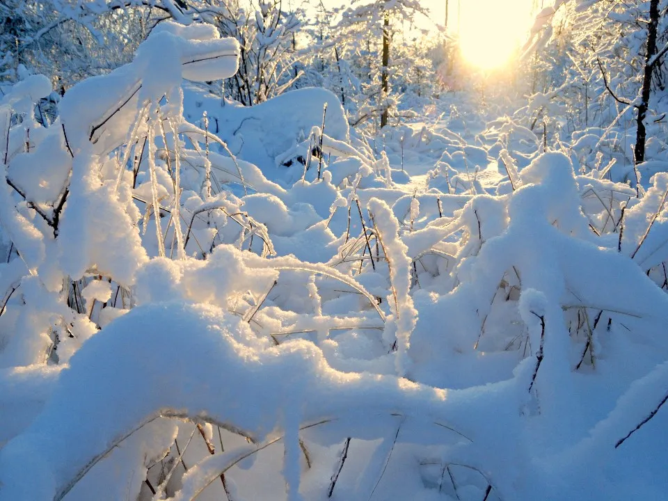 Фото: Ирина Зубарева