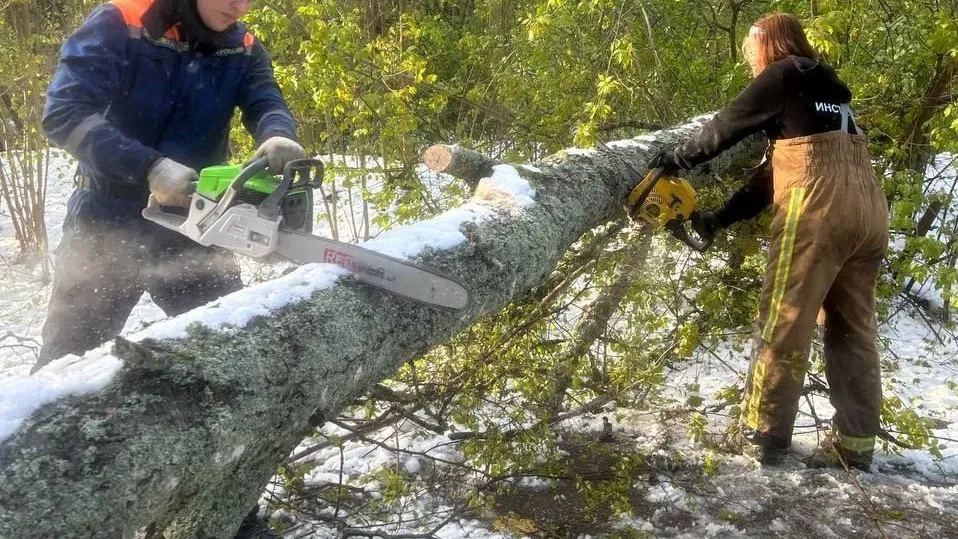 Фото: Министерство образования Московской области