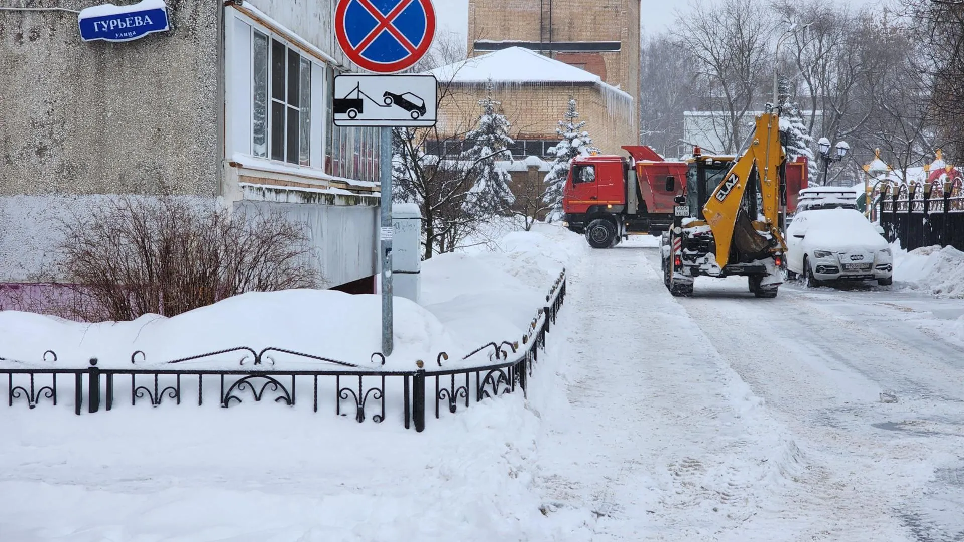 Фото: МедиаБанк Подмосковья/Ирина Моисеева
