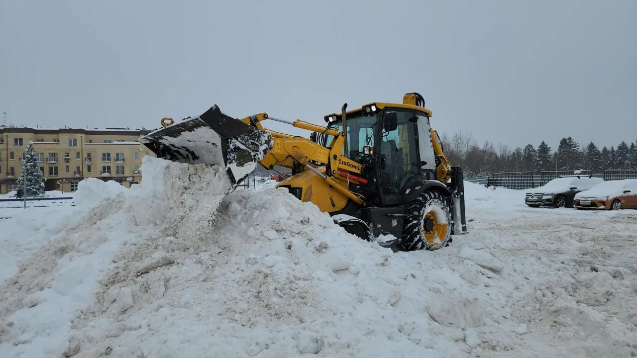 МедиаБанк Подмосковья/Екатерина Данилина