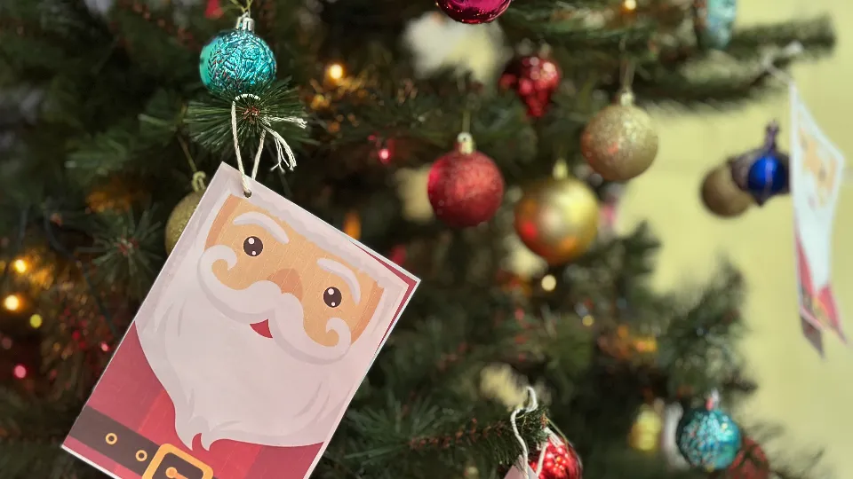 Фото: МедиаБанк Подмосковья/Кристина Тришина