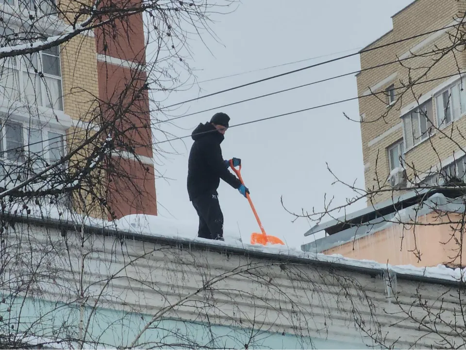 Фото: МедиаБанк Подмосковья/Наталья Лымарь