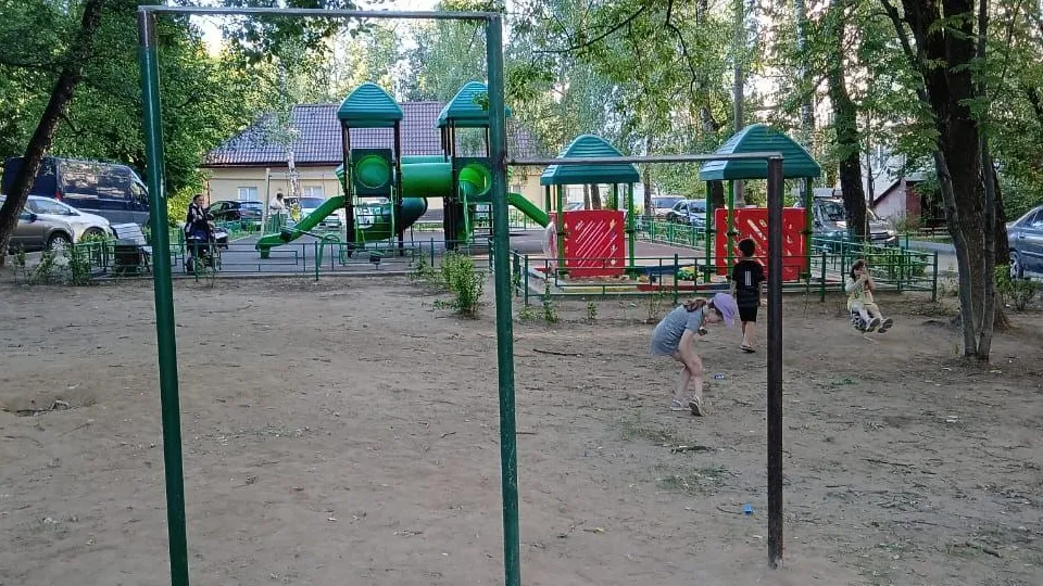 Фото: t.me/istra_go