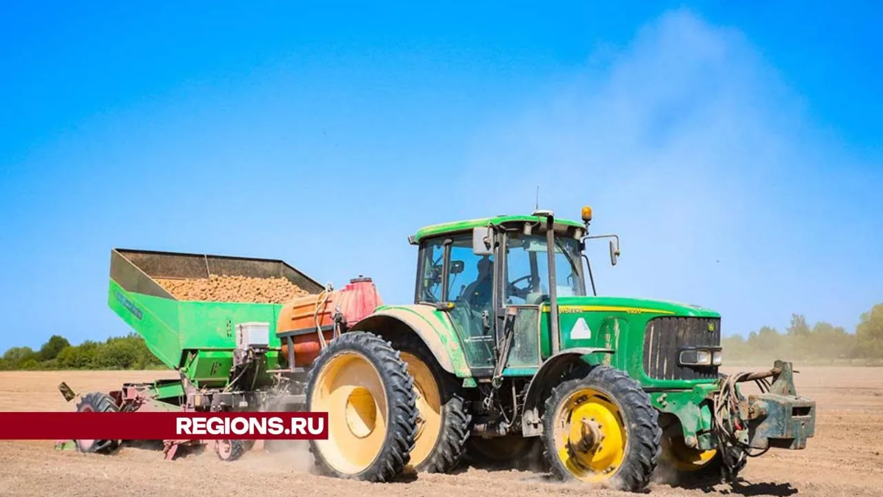 Фото: Анастасия Хренкова