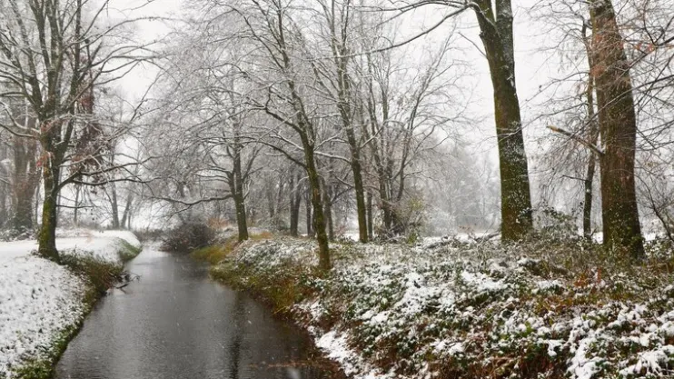 Фото: freepik.com