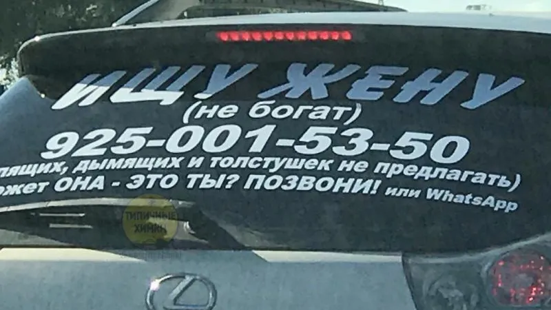 Небогатый креативщик разыскивает жену в Химках
