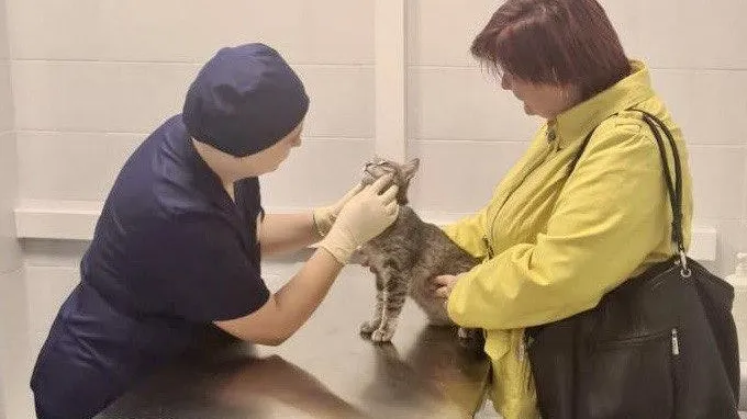 Пресс-служба Минсельхозпрод МО