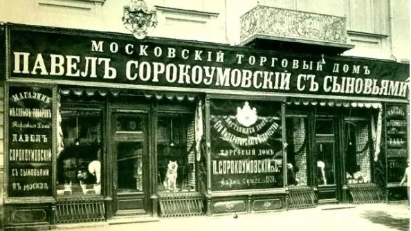 Фото: Центральная библиотека Зарайска (архив)