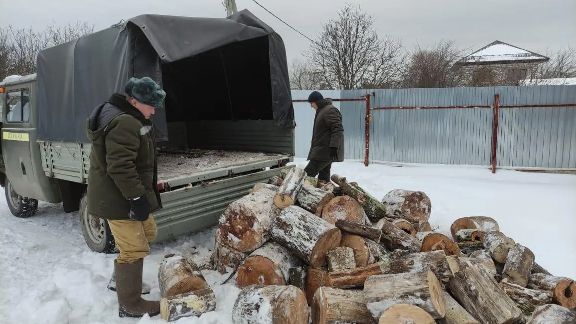 «Русский лес»