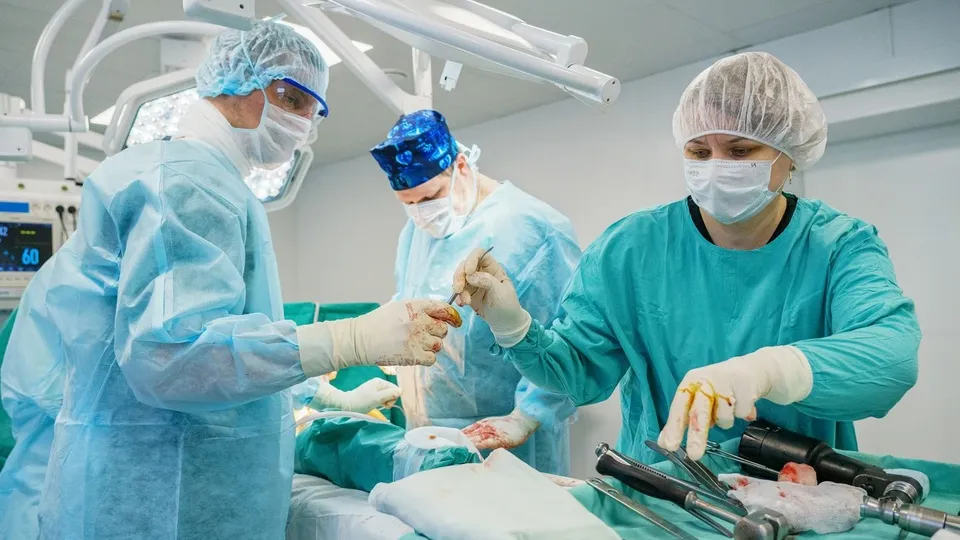 Фото: Медиаархив Подмосковья