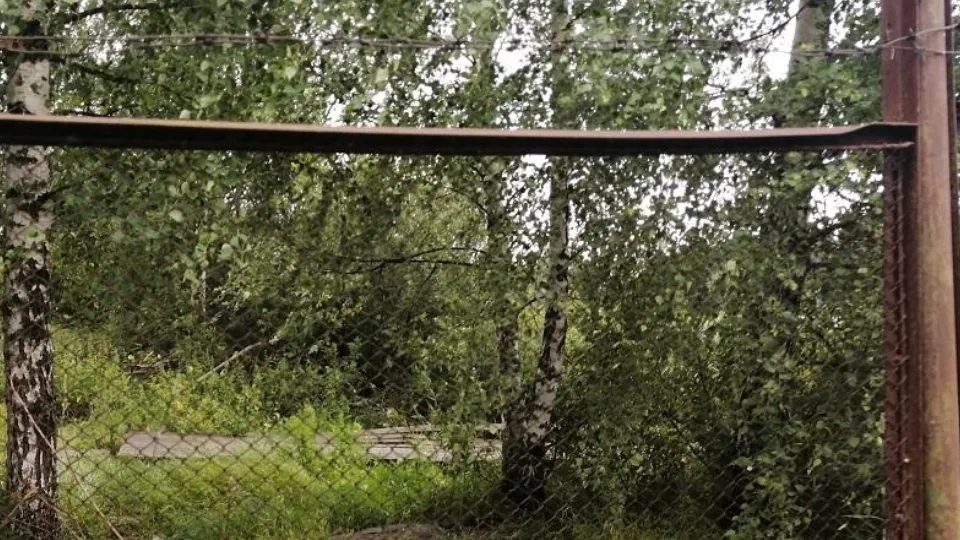 Фото: Министерство экологии и природопользования Московской области