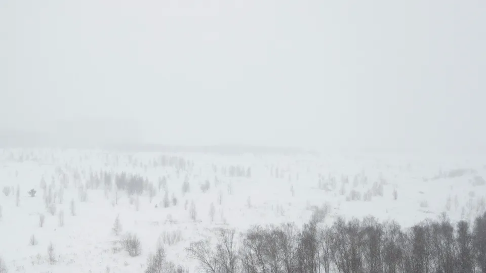 Фото: REGIONS/Наталия Надточая