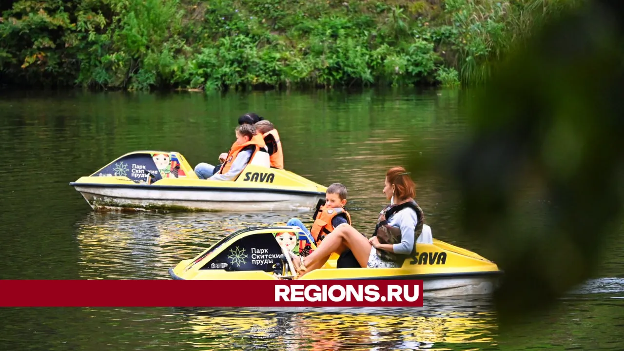 Фото: REGIONS/Дмитрий Зайчиков