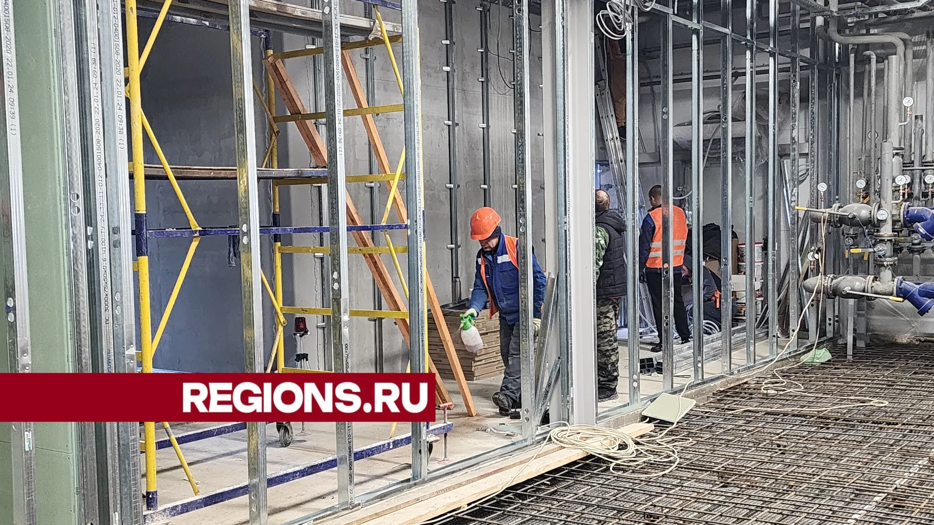 Фото: Светлана Борщева