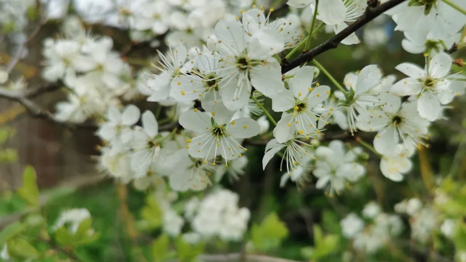 Фото: Евгений Лавряшин