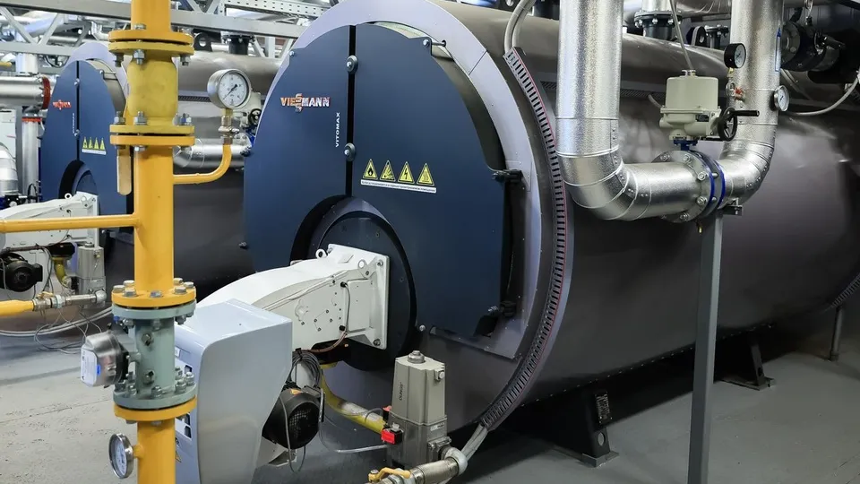 Фото: Медиаархив Подмосковья