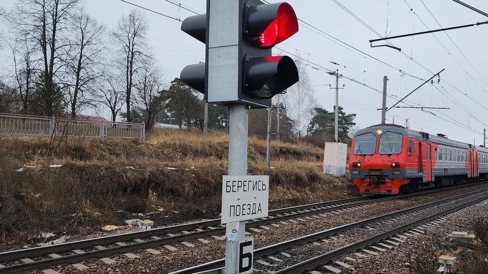 Фото: МедиаБанк Подмосковья/Андрей Семибратов