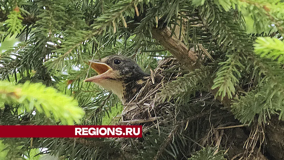 Фото: Андрей Семибратов